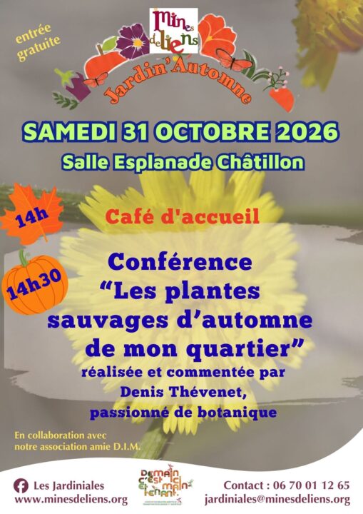 affiche de Mines de liens annonçant la conférences les plantes sauvages d'automne de mon quartier le 31 ocotbre à châtion à 14h