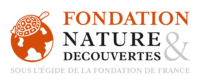 logo_fondation_netd_2018_rvb_Web