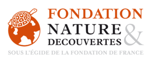 logo_fondation_netd_2018_rvb_Web