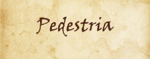 Logo Pedestria